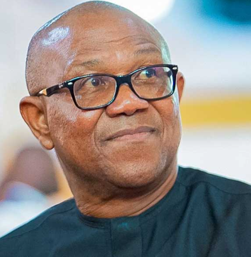 I’m Not Desperate for Power: Peter Obi Throws Down a Challenge to Africa’s Broken Democracies
