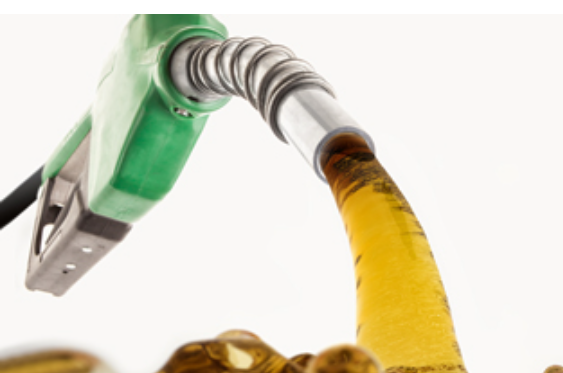 BREAKING NEWS: A Silent Crisis Is Sinking Livelihoods Across Africa’s Coastlines