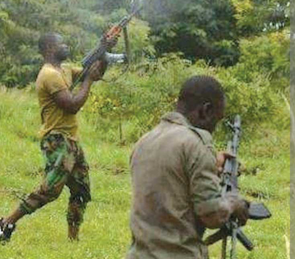 Nigeria’s Education Under fire: Gunmen Kidnap Students in Brutal Highway Attack