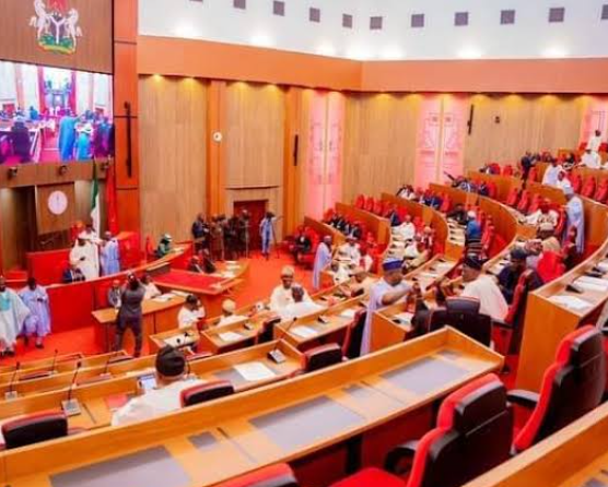 Senate earthquake rocks Nigeria as power struggle reopens brutal race for 2027 presidency