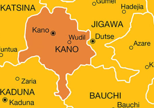 Kano Shuts Nine Private Schools Over Licence Renewal