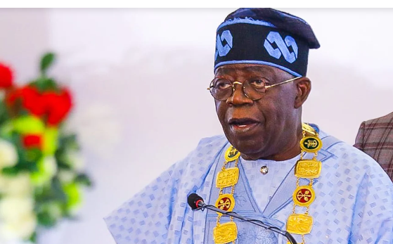Africa positions itself as global investment hub as Tinubu taps CEOs Forum to unlock capital inflow