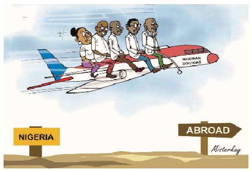 JAPA DREAMS: Why Many Nigerian Students See Their Future Beyond Nigeria