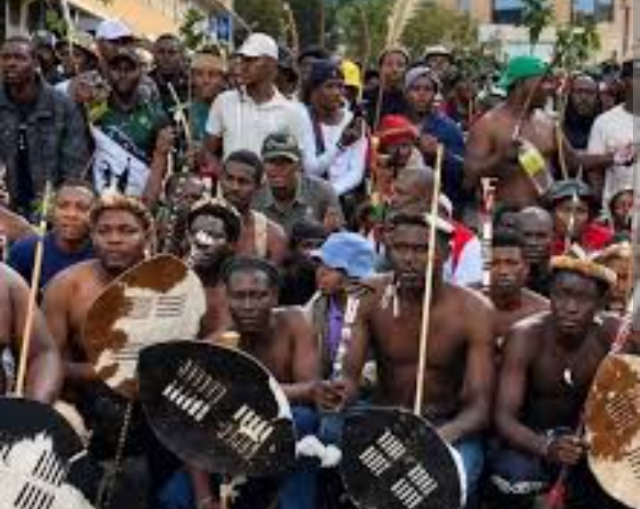 Stop Running to South Africa, Hold Your Corrupt, Dictatorial Govt Accountable - South African Citizen Tells Nigerians