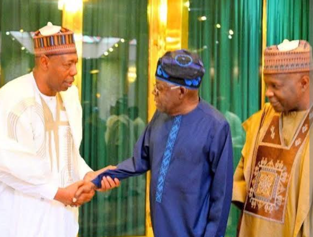 Tinubu Meets Zulum as Borno APC Locks 2027 Succession Deal — Early Power Bloc Emerges in North-East Political Chessboard