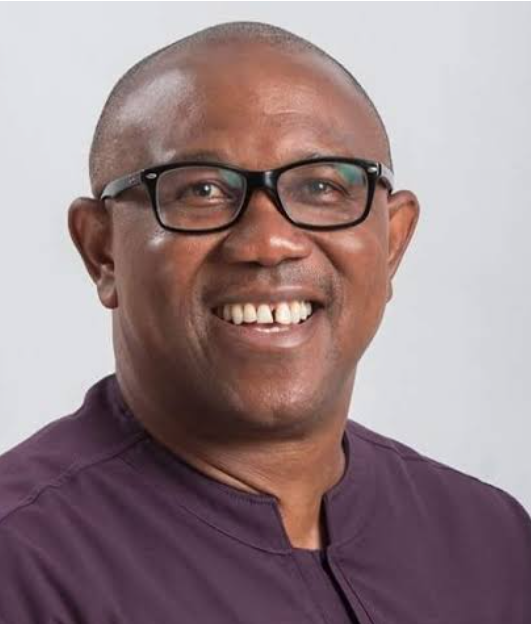 2027: Adeyanju alleges Obi, Kwankwaso are working for Tinubu