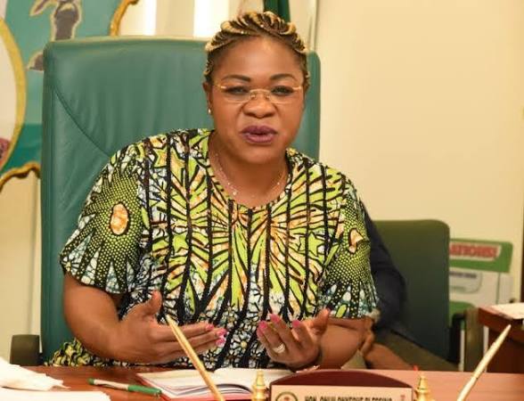 David Mark’s daughter wins APC primary, but rivals cry foul- including son of his old political rival