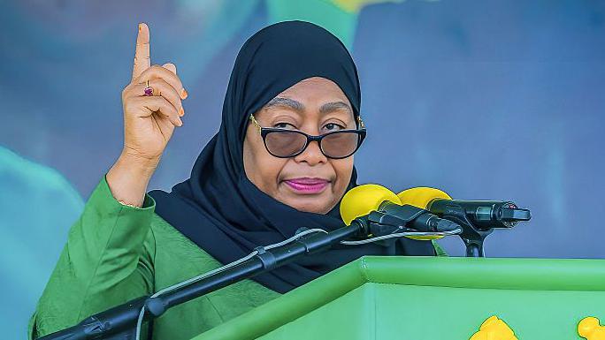 Tanzania: European Election Rights Investigation Faces Setback As President Suluhu Reportedly Blocks EU Delegation