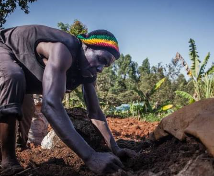 From Harvest to Hunger: Climate Chaos Wipes Out Nigerian Farms as Food Crisis Deepens Across Ogun, Oyo and Lagos