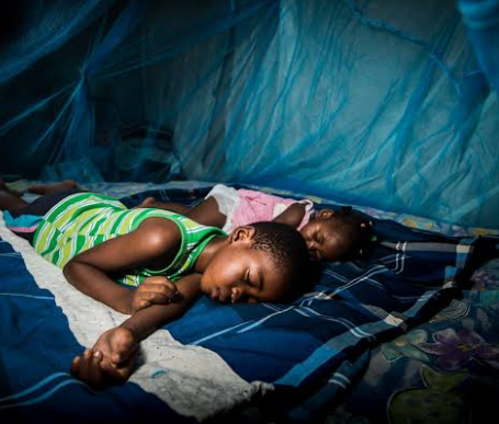 BREAKING NEWS: Africa on Alert as Malaria Defies Drugs and Insecticides, Global Fight Faces Dangerous Setback