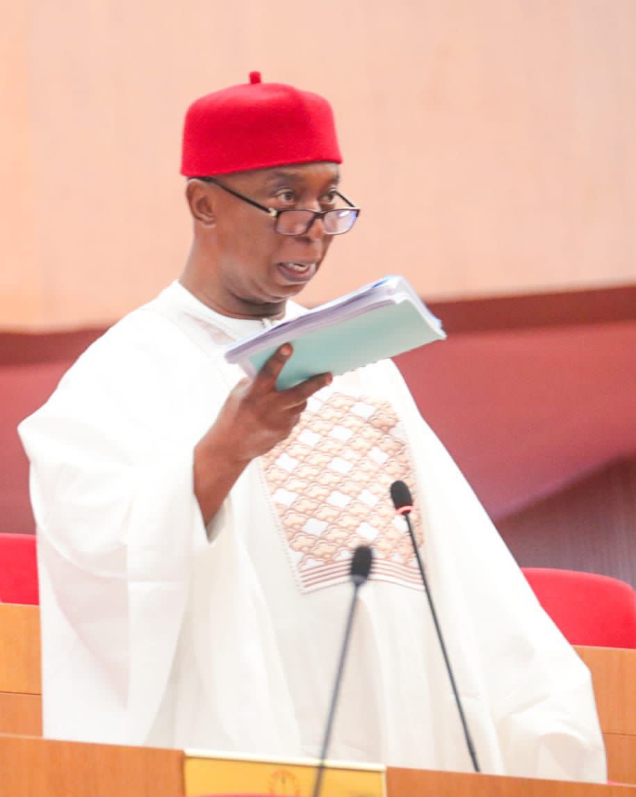 Delta North Primaries: We're Still Waiting for NWC to Announce Authentic Winner - Ned Nwoko