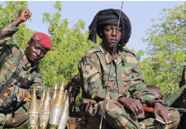 Breaking: Seven Chadians Kidnapped in Niger — One Dead in Boko Haram Attack