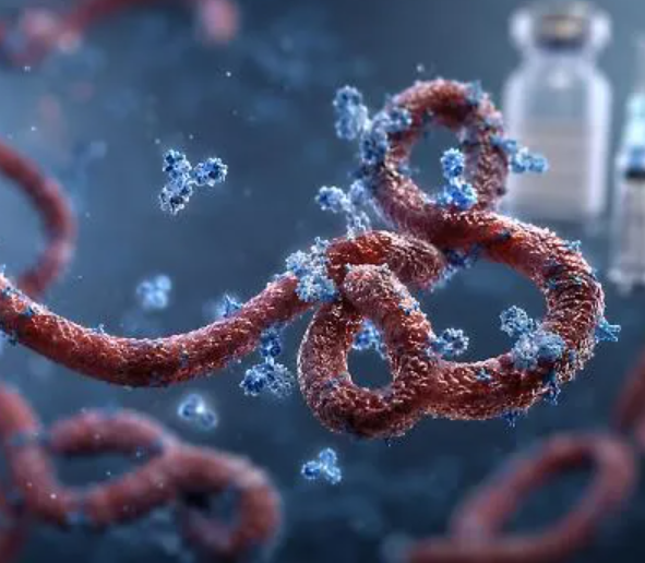 Ebola: Nigerians Told to Avoid Kissing, Hugs, Handshakes