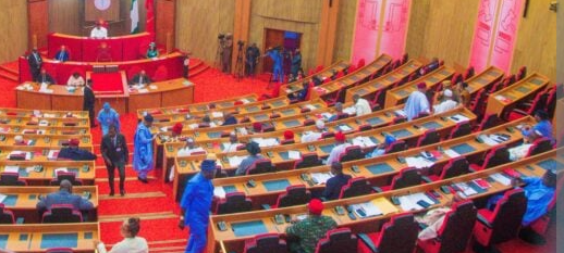 Six Nigerian Governors Declare Interest to Run for Senate