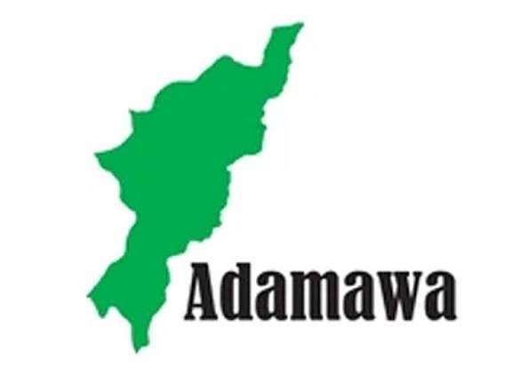 Delays Plague APC Reps Primaries in Adamawa as Officials Go Missing