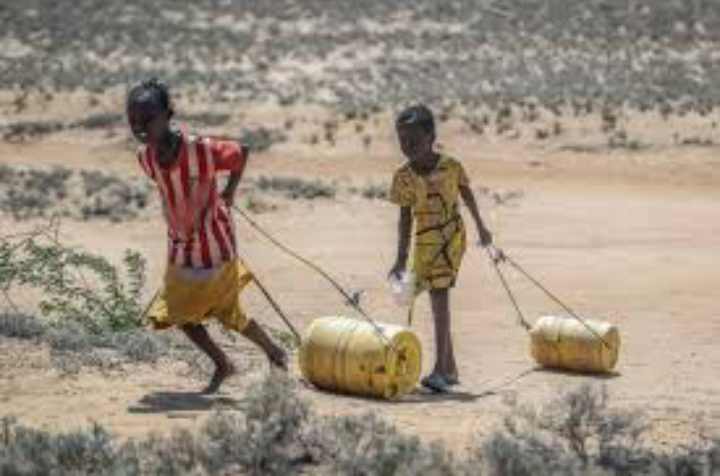 Global Aid Cuts Spark Looming Hunger Disaster Across Africa
