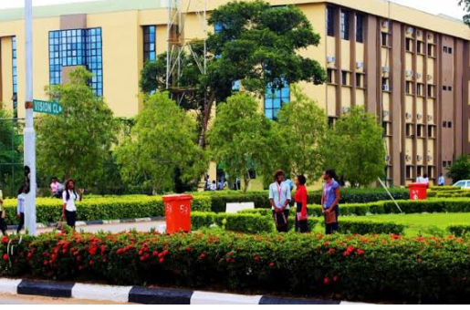 “Big School, Empty Promise: Why Nigeria’s Obsession with Prestige Is Producing Unprepared Graduates”